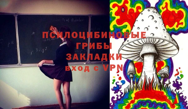 не бодяженный Алзамай
