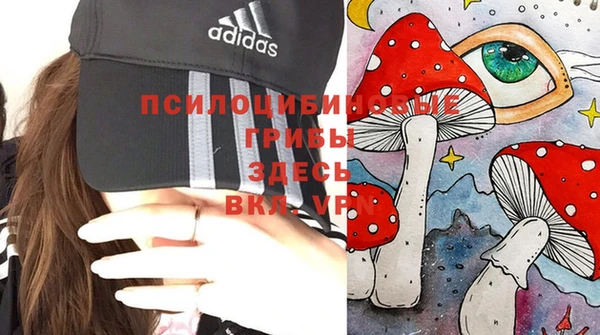 не бодяженный Алзамай