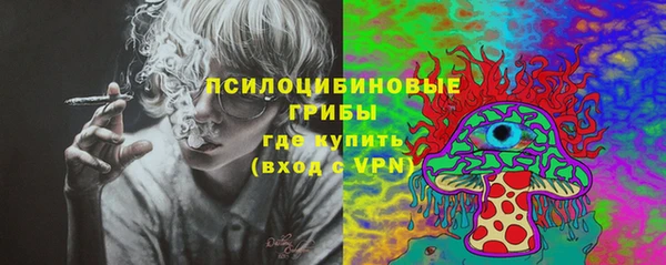 не бодяженный Алзамай