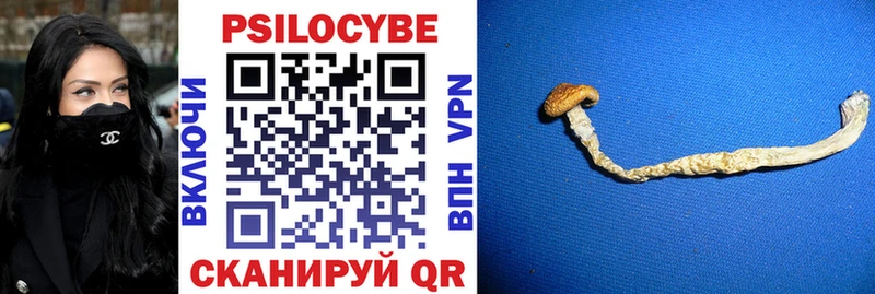 blacksprut как войти  Троицк  Галлюциногенные грибы Magic Shrooms 