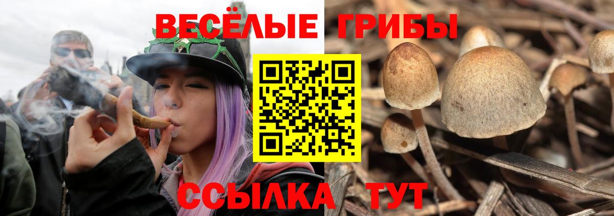Псилоцибиновые грибы GOLDEN TEACHER Троицк
